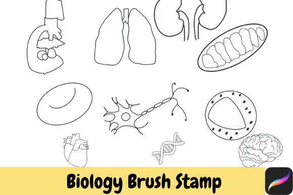 Biology Procreate Hand Drawn Brush Stamp